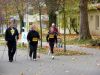 (Nordic-)WalkingP1010275.jpg